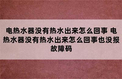 电热水器没有热水出来怎么回事 电热水器没有热水出来怎么回事也没报故障码